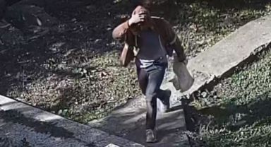 Bağ faresi serbest bırakıldı