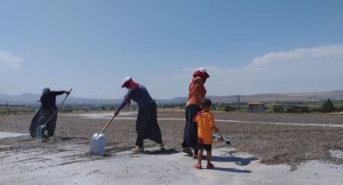 BÜYÜKŞEHİR’DEN AY ÇEKİRDEĞİ ÜRETİMİNDE İLK SIRADA OLAN KAYSERİ’YE 5 KURUTMA SAHASI