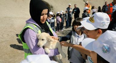 TALAS PATİ EVİ: CANDOSTLARA VİP SERVİS