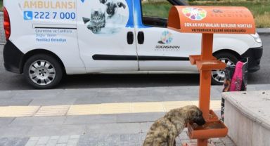 BAŞKAN ÇOLAKBAYRAKDAR, “KÜÇÜK DOSTLAR AMBULANSI 7 BİN 643 CAN KURTARDI”