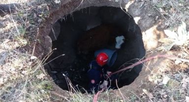 BÜYÜKŞEHİR İTFAİYESİ’NDEN “BUZAĞI” OPERASYONU