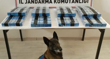 Durdurulan çekicide 400 paket kaçak sigara bulundu