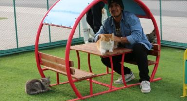 -KOCASİNAN, KÜÇÜK DOSTLAR KEDİ KASABASI İLE GENÇLERE HAYVAN SEVGİSİ AŞILIYOR