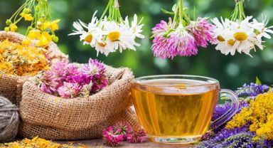 Hangi bitki çayı, neye yarar?