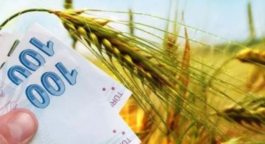 Tarım ve Orman Bakanlığı’ndan 144 bin liralık destek! 12 ay hizmet verilecek