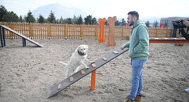 BÜYÜKŞEHİR'İN KÖPEK EĞİTİM PARKURU, MİLLET BAHÇESİ'NDE HİZMETE HAZIR