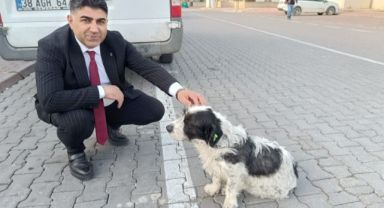 KADİR TÜRKMEN: minik patiler için özel otel yapacağız