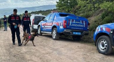 Kafatası parçası ile 3 kemik daha bulundu! Ekonomist Korhan Berzeg olayında yeni gelişme!