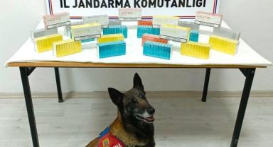 5607 Sayılı Kaçakçılıkla Mücadele Kanununa Muhalefet