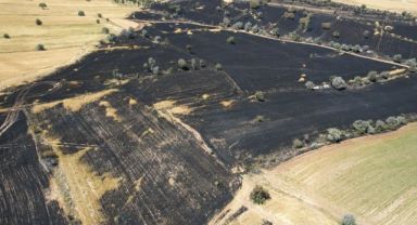 30 dönüm ekili arazi yangında kül oldu