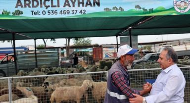 bu konfor istanbul'da yok