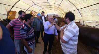 Büyükşehir’den “Kurban Bayramı” İçin Özel Hizmet