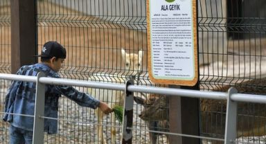 Büyükşehir Hayvanat Bahçesi, Kurban Bayramı’nda ücretsiz