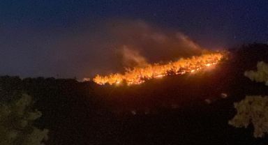 Çanakkale'de çöplükte çıkan yangın ormana sıçradı, 1 mahalle tahliye edildi