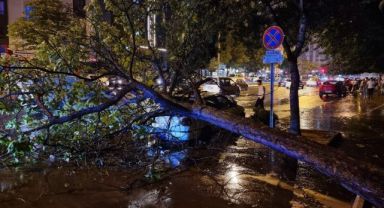 Kayseri'de şiddetli rüzgar ağaçları devirdi, vatandaşlar yolda mahsur kaldı