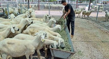 Talas Belediyesi kurban satış ve kesim alanı besicilerden ve vatandaşlardan tam not aldı.