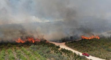 Çeşme'de orman yangını çıktı! Rüzgar nedeniyle alevler yayılıyor, 3 kişi hayatını kaybetti