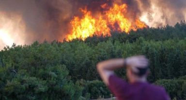 Ciğerlerimiz yanıyor! İzmir'deki yangına müdahale sürüyor