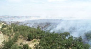 Edirne Lalapaşa'da orman yangını! Köylüler ve ekipler alevlere müdahale ediyor, yaralılar var!