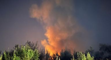 İzmir'in Gaziemir ve Buca ilçeleri arasında çıkan orman yangınına müdahale sürüyor.