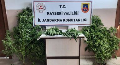Jandarma Kayseri’de uyuşturucuya geçit vermiyor