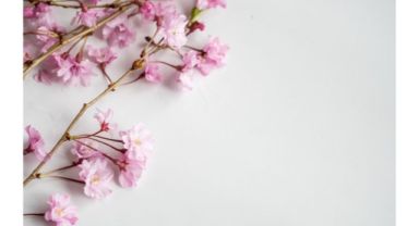 Kayseri Büyükşehir Belediyesi ilana çıktı!