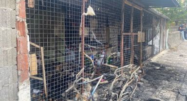 Kayseri'de yaşananların hasarı gün ağarınca ortaya çıktı!kayserİ’de SURİYELİLER İŞE GİTMEDİ İŞLER DURMA NOKTASINA GELDİ 