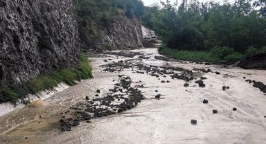 Ordu'da sel felaketi: 1 ölü