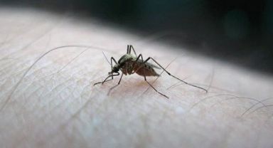 ABD'de ölümcül virüs alarmı! İlk vakayı resmen duyurdular, tedavisi de yok