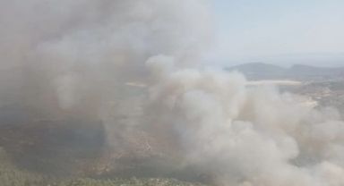 Ciğerlerimiz yanıyor! 3 ilde orman yangını büyüyor