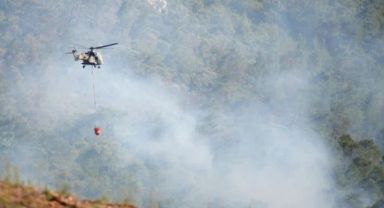 İzmir Menderes'teki orman yangını kontrol altında