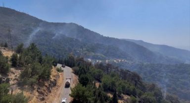 İzmir Yamanlar ve Urla ile Bolu Göynük'teki orman yangınları kontrol altına alındı