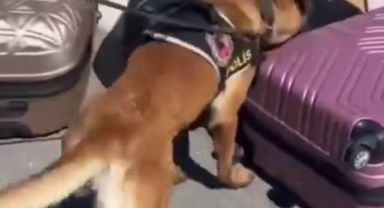 Kayseri'de 41 kilo uyuşturucu ele geçirildi