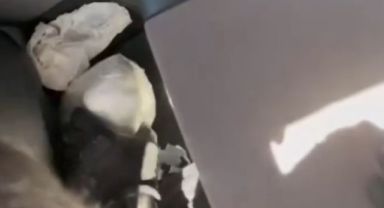 Kayseri polisi uyuşturucuya geçit vermiyor