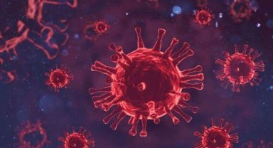 40 milyon kişi hayatını kaybedecek, hiçbir ilaç fayda etmeyecek! Dünya alarmda