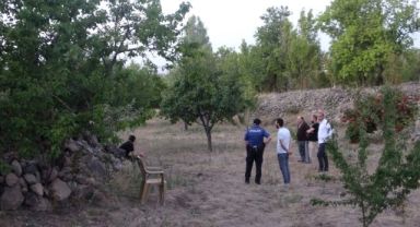 92 yaşındaki şahıs budamak için çıktığı ağaçtan düşerek öldü