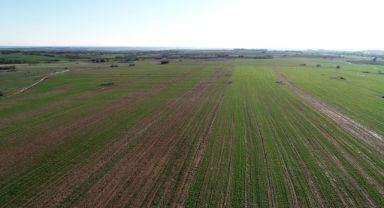 Adana'da mart ayından beri kayıptı aranıyordu Konya'da tarlada gömülü bulundu