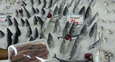 Balık sezonunda palamut yoğunluğu