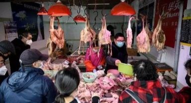 Bilim insanları açıkladı: Koronavirüs nerede ortaya çıktı?