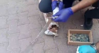 Tarihi eser kaçakçılarına dedektör köpekli operasyon: 3 gözaltı