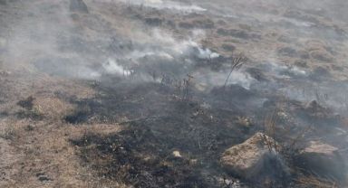  Develi'de anız yangını