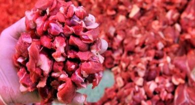 Gıda sahtekarlığı yapan firmalar! Bakanlık listeyi güncelledi, 'Dana eti' diyerek at-eşek eti yedirmişler