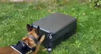 Kayseri'de 11 kilo uyuşturucu madde ele geçirildi