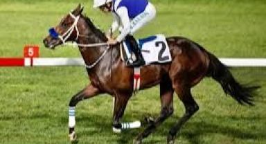 Kayseri’de yarış atı hırsızlığı: 1 gözaltı