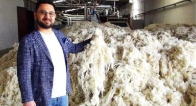 Kayseri'nin Koyun Yünü Dünya'ya İhraç Oluyor