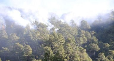 Muğla'daki orman yangınlarında son durum! MSB 5 helikopter görevlendirdi