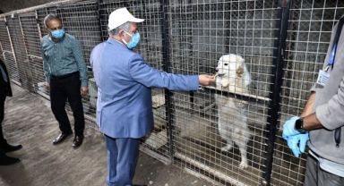 Talas Pati Evi'nde kapsamlı işbirliği