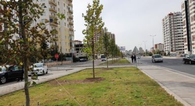 Başkan Çolakbayrakdar: 