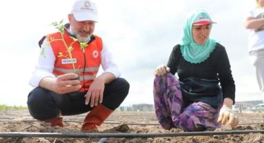 Kocasinan’ın Türkiye’ye örnek olan Tarım Projesi’nde meyvelerin son hasadı