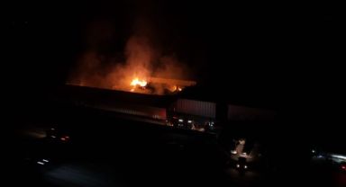 Mantar üretim tesisinde yangın